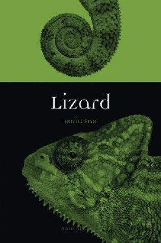 Cover of Lizard