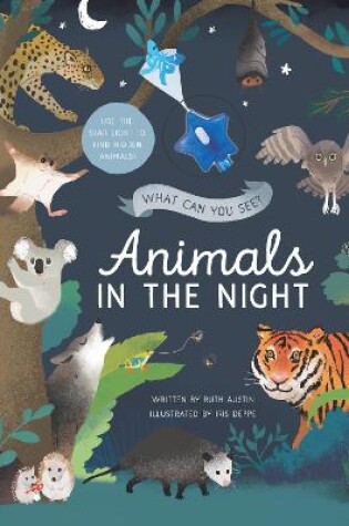 Cover of What Can You See? Animals in the Night