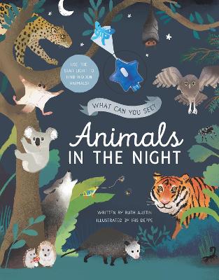 Book cover for What Can You See? Animals in the Night