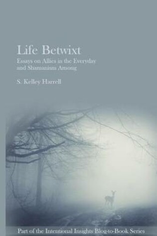 Cover of Life Betwixt