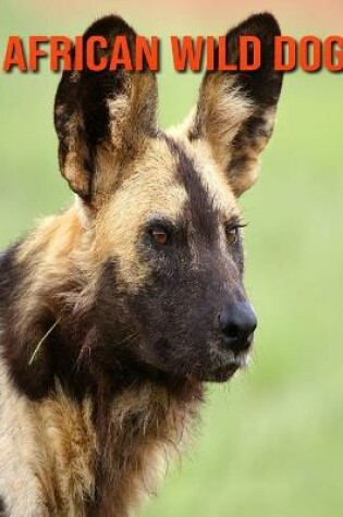 Cover of African Wild Dog