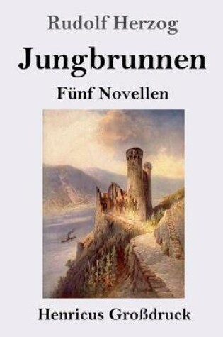 Cover of Jungbrunnen (Großdruck)