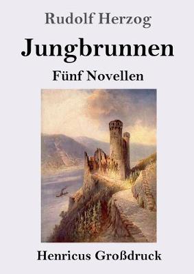 Book cover for Jungbrunnen (Großdruck)