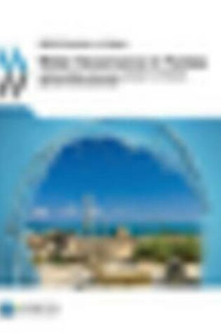 Cover of Water Governance in Tunisia