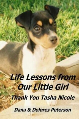 Cover of Life Lessons from Our Little Girl