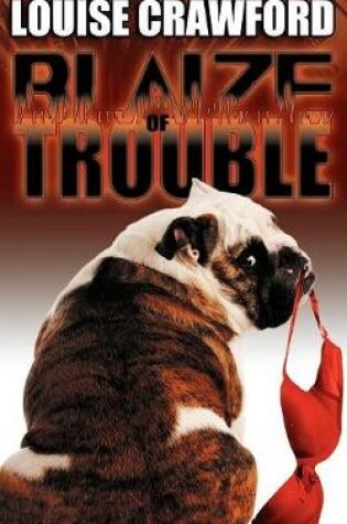 Cover of Blaize of Trouble