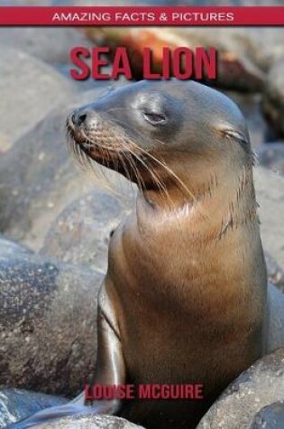 Cover of Sea Lion