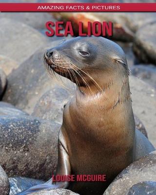 Book cover for Sea Lion