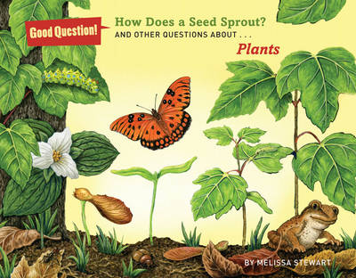 Book cover for How Does A Seed Sprout Plants