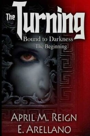 Cover of Bound to Darkness