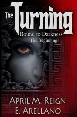 Book cover for Bound to Darkness