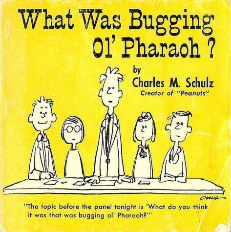 Book cover for What Was Buggin' Ol' Pharaoh?