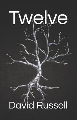 Book cover for Twelve