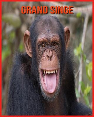 Book cover for Grand Singe