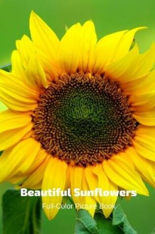 Cover of Beautiful Sunflowers Full-Color Picture Book