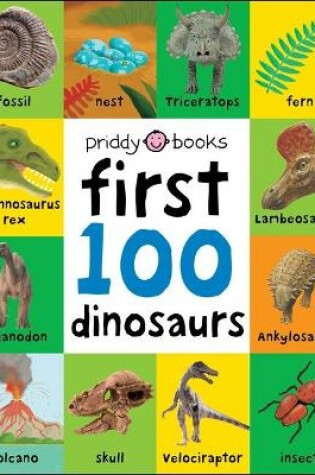 Cover of First 100: First 100 Dinosaurs
