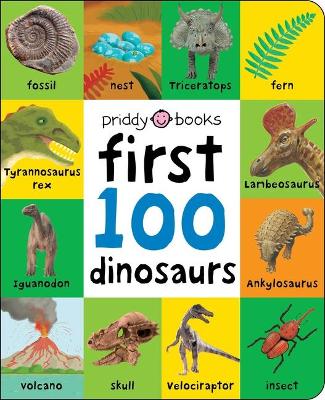 Book cover for First 100: First 100 Dinosaurs
