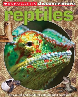 Book cover for Scholastic Discover More: Reptiles