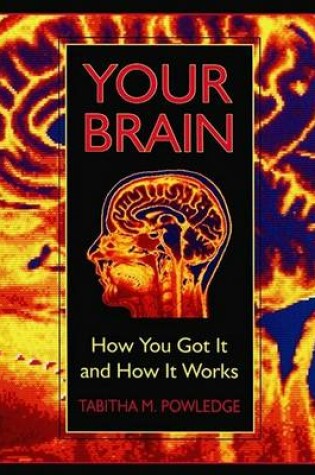 Cover of Your Brain