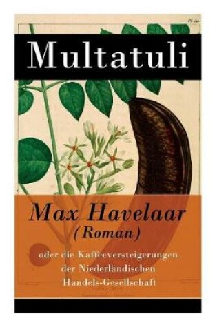 Cover of Max Havelaar (Roman)