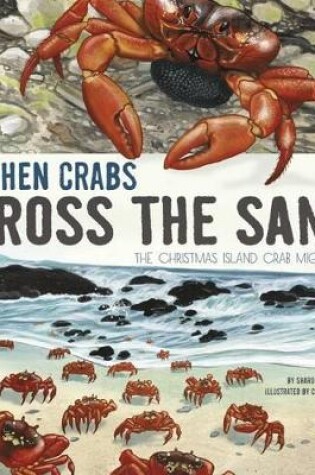 Cover of When Crabs Cross the Sand