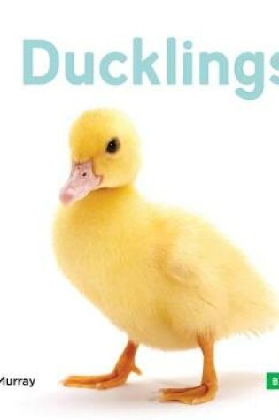 Cover of Ducklings