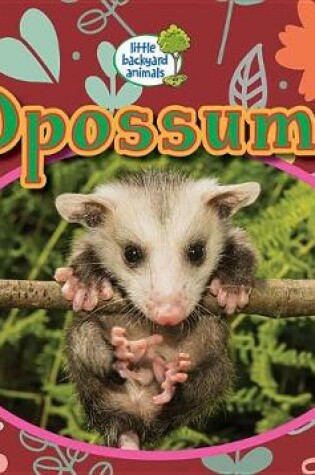 Cover of Opossums