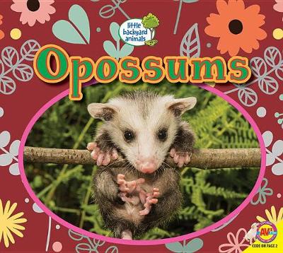 Cover of Opossums