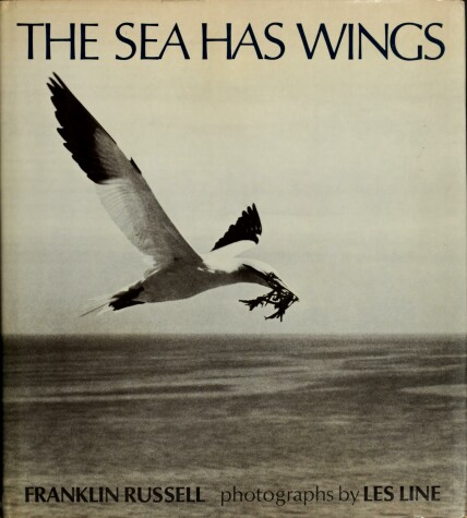 Cover of The Sea Has Wings