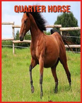 Book cover for Quarter Horse