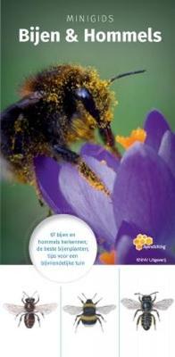 Book cover for Minigids Bijen & Hommels