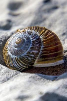 Book cover for Pretty Shell in the Sand Journal