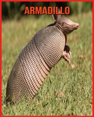 Book cover for Armadillo