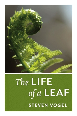 Book cover for The Life of a Leaf