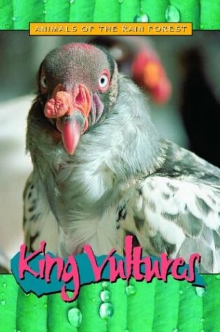 Cover of King Vultures