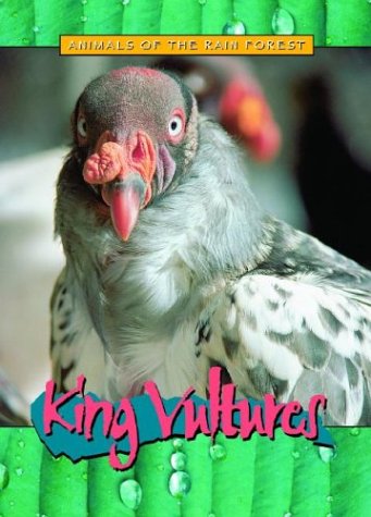 Book cover for King Vultures