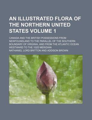 Book cover for An Illustrated Flora of the Northern United States; Canada and the British Possessions from Newfoundland to the Parallel of the Southern Boundary of Virginia, and from the Atlantic Ocean Westward to the 102d Meridian Volume 1