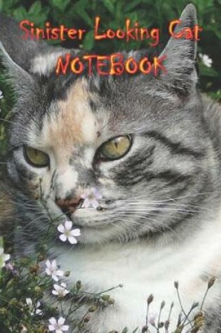 Cover of Sinister Looking Cat NOTEBOOK