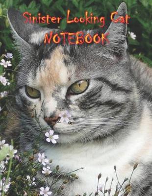 Book cover for Sinister Looking Cat NOTEBOOK