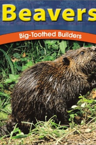 Cover of Beavers