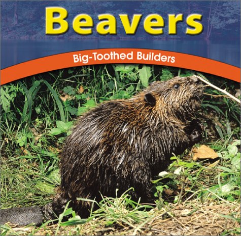 Cover of Beavers