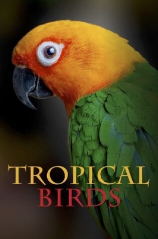 Cover of Tropical Birds