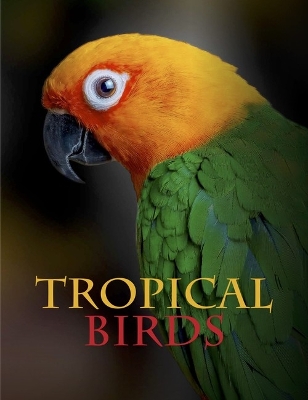 Tropical Birds by Tom Jackson