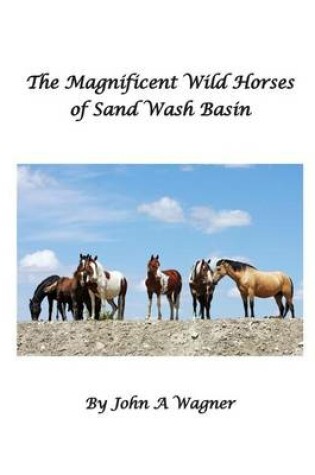 Cover of The Magnificent Wild Mustangs Of Sand Wash Basin