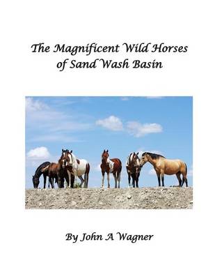 Book cover for The Magnificent Wild Mustangs Of Sand Wash Basin