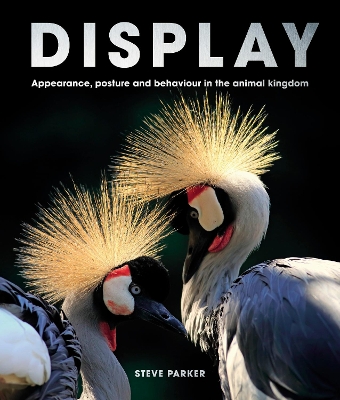 Book cover for Display