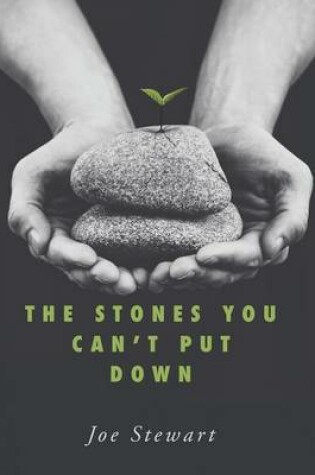 Cover of The Stones You Can't Put Down