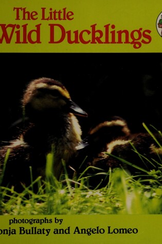 Cover of The Little Wild Ducklings