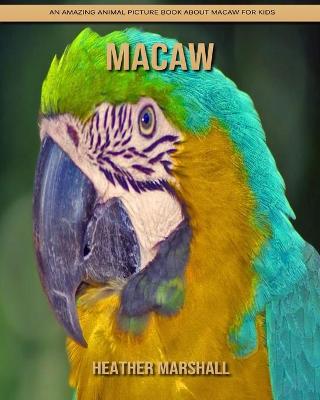 Book cover for Macaw