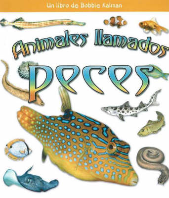 Book cover for Animales Llamados Peces (Animals Called Fish)